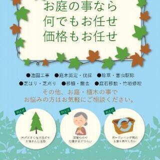夏の雑草除去おまかせ下さい！