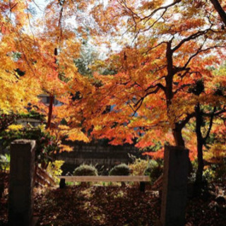 禅寺で坐禅をしましょう！の画像