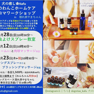 【満席のため終了🙇‍♀️】夏のわんこケア ワークショップ開催🌸の画像