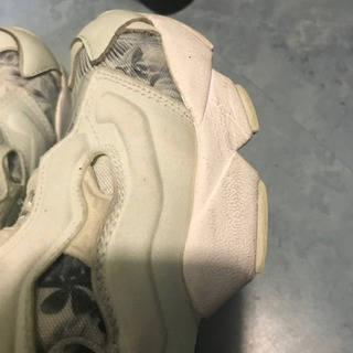 ポンプヒューリー　23㎝の画像