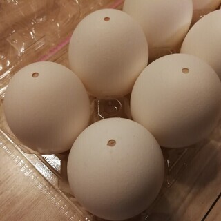 玉子の殻 10個　エッグアートの画像