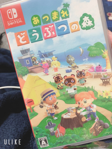 SwitchLight本体＋あつ森カセット