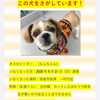大事な家族探しています。また一緒に暮らしたいです。