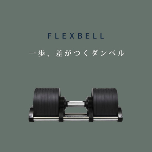 flexbell  20kg 2個　新品箱入り