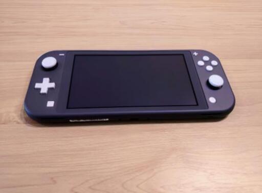 Nintendo Switch Light グレー 中古 +α