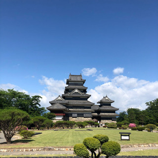 散歩またはジョギング仲間募集です。