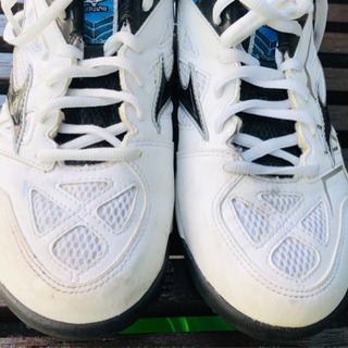 早い者勝ち‼️ミズノ オムニコート用シューズ 24㎝