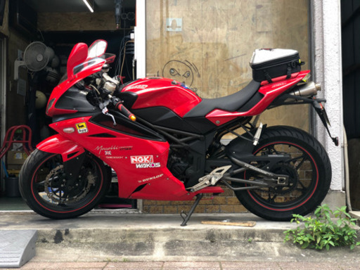 メガリ250R Medelli フルカウルスポーツ　名古屋から