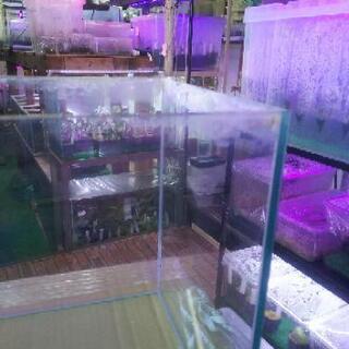 オールガラス 水槽 幅30×奥行き25×高さ30の画像