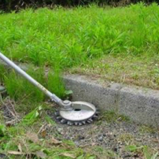 草刈り補助、草の片づけ、掃き掃除の画像