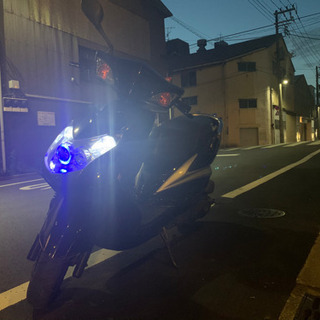 シグナスxの画像