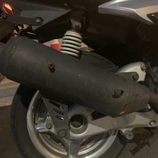 シグナスxの画像