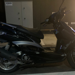 シグナスxの画像