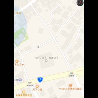 メダカ　琥珀ヒカリメダカ売ります　6.23の画像
