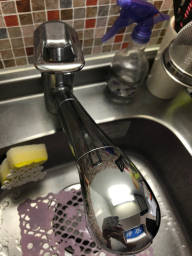 タカギの浄水器。ワンホールタイプ