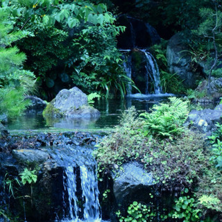 一緒に写真を撮りましょう📸