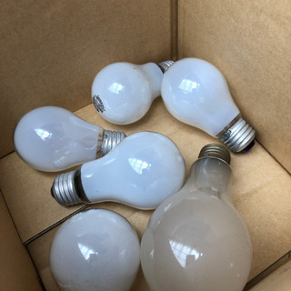 白熱電球どれでも