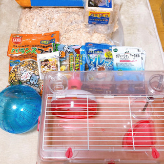 お得！　ハムスターゲージ　飼育スタートセット一式（取りに来れる方限定）