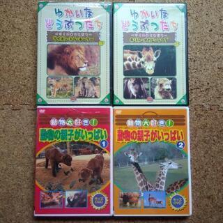 キッズDVD　動物