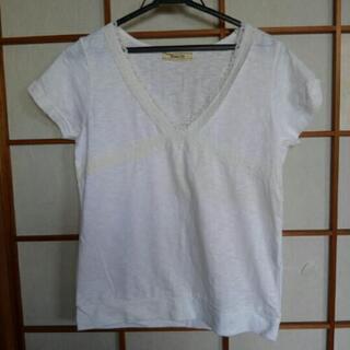 夏物レディースTシャツ(Lサイズ)1着