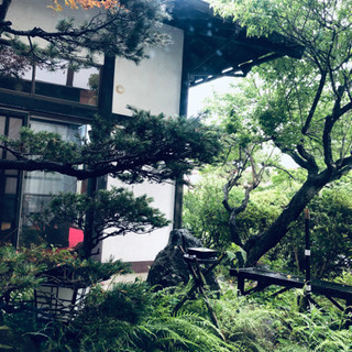 お茶会仲間募集します - 友達
