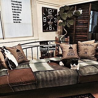 デイベッド、ベッド、シングルベッドの画像