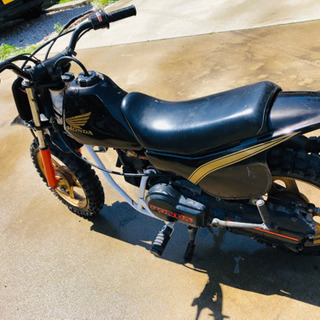 出品取り消しますQR50コンペモデルの画像