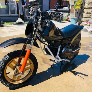 出品取り消しますQR50コンペモデルの画像