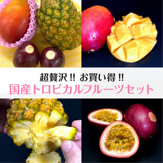 ドライブスルー大宮マルシェ