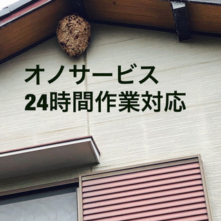 愛知県全域対応、蜂駆除、ヘビ駆除、コウモリ駆除など何でも‼️ - 害虫/害獣駆除