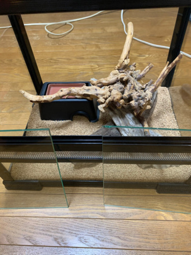 爬虫類飼育セット