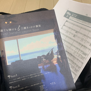 沖縄民謡楽器 / 三線 / 初心者セットの画像