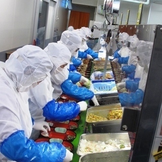 お弁当の製造・盛付業務の画像