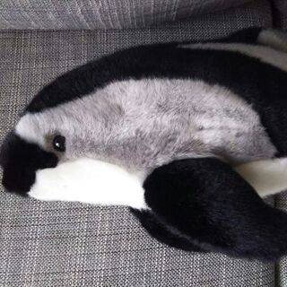 美品★水族館のぬいぐるみ2点の画像