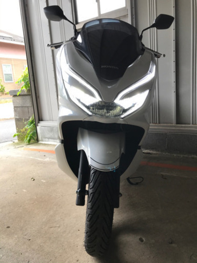 HONDA PCX新型（現行機種）JF81 カラー；ジャスミンホワイト保証あり！