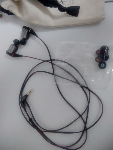 高級イヤホン SONY XBA-A2
