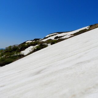 焼石岳中腹の自然を愛でるマウンテントレッキング＆自然観察会