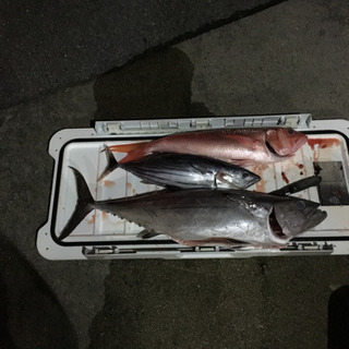 パヤオ 釣り