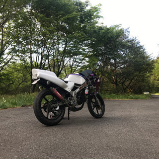 ホンダ　NS-1  商談中の画像