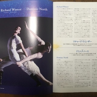 マシュー•ボーン　「白鳥の湖」パンフレットの画像