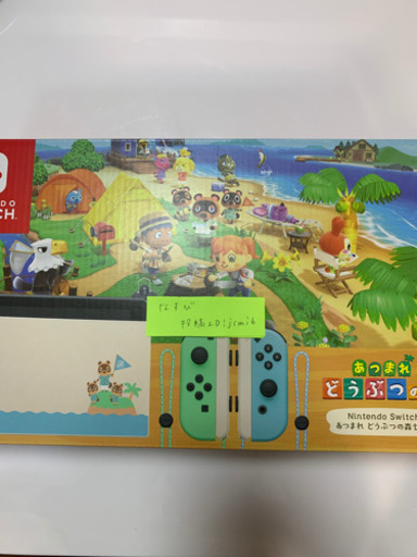 Nintendo Switch どうぶつの森同封版 ケース付き