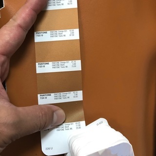 【手作り革小物に！相場1/5以下　本革半裁B】の画像