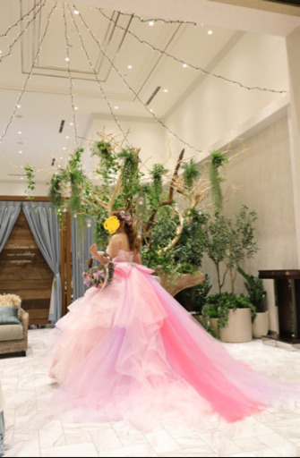 プリンセスライン✧︎カラードレス✧︎パニエ付