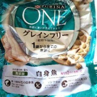 ペット用品。猫のごはん。未開封。新品。