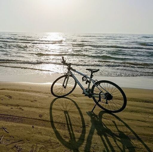 【クロスバイク(中古)】SPECIALIZED VITA SPORT 初めてのスポーツバイクにオススメ(防犯登録あり)