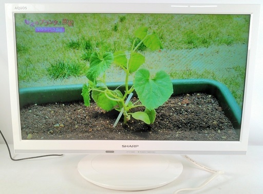 安心の一年保証！SHARP/シャープ 2019年製 液晶テレビ 19V型 AQUOS 2T-C19AD 1220051004 ガーランド草加