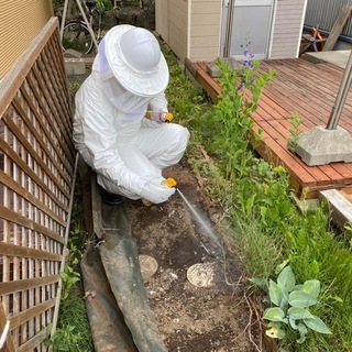 蜂の巣駆除を行っております！！