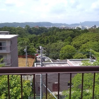 秦野くずは台団地　４階　-ジモティ限定販売-　当社専任物件 − 神奈川県