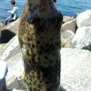 今日 - 市原市