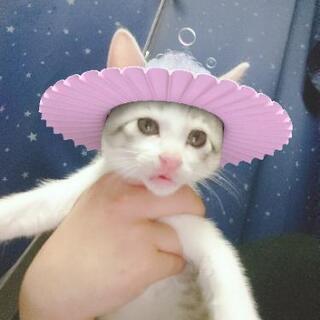 ありがとうございました